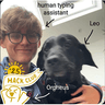 leowilkin
