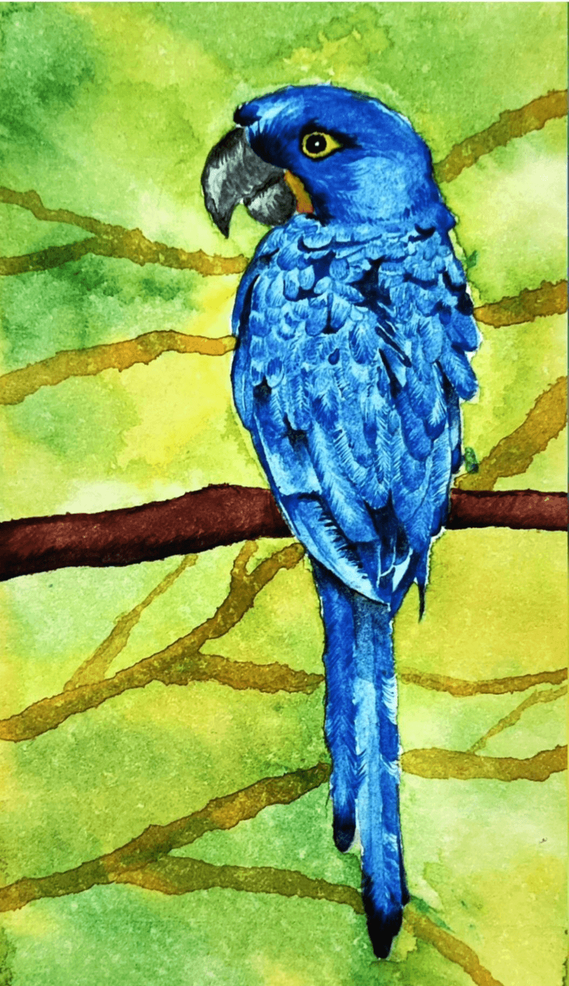 https://scrapbook-into-the-redwoods.s3.amazonaws.com/31b451b1-b75a-482a-a489-af1ce4e1f7db-image.png