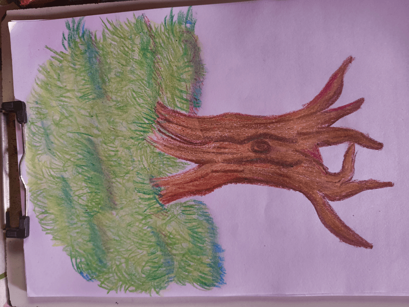 https://scrapbook-into-the-redwoods.s3.amazonaws.com/5be3fbc7-4bd5-4a14-8081-894b5dd4e239-image.png
