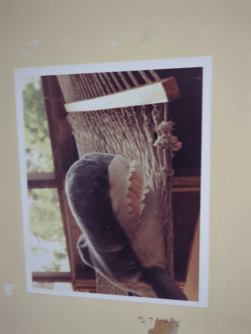 https://scrapbook-into-the-redwoods.s3.amazonaws.com/70120a6a-fee2-49e8-8161-8511f23c6343-image.png